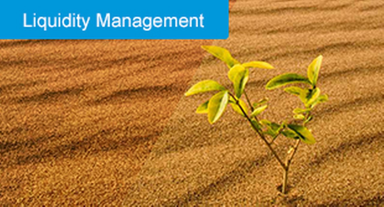 Liquidity Management