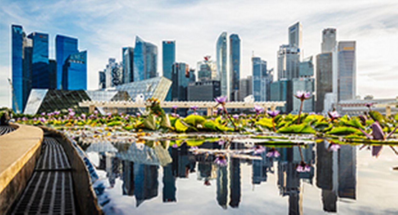 TXF-Singapore-2019-Financing-Insuring-Commodities.jpg