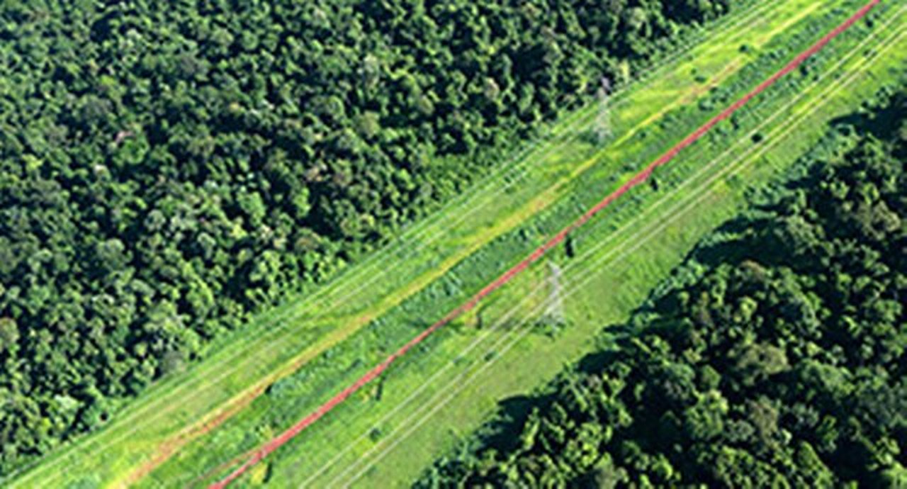 CB-creating-a-path-for-sustainable-supply-chains-310x167.jpg