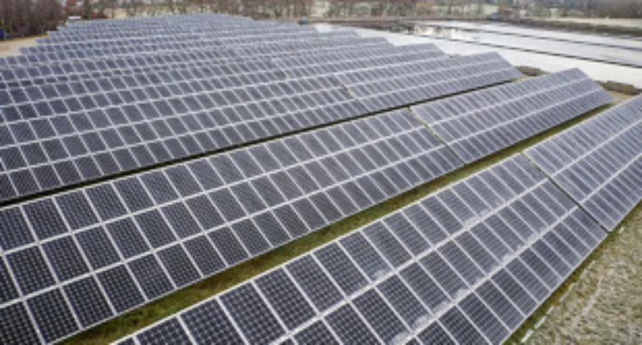 Rows of solar panels