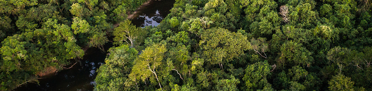 Deutsche Bank among 16 banks supporting ICC in Sustainability in Export Finance paper