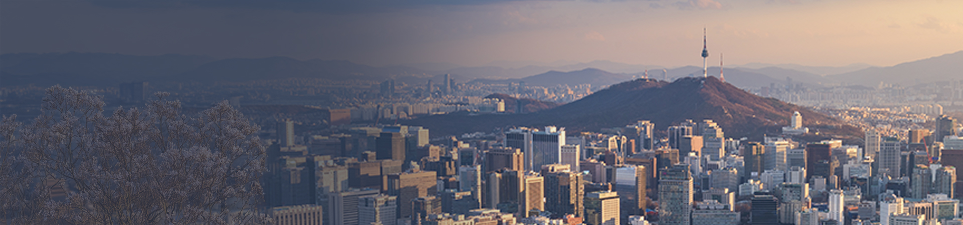 Seoul City Skyline,South Korea