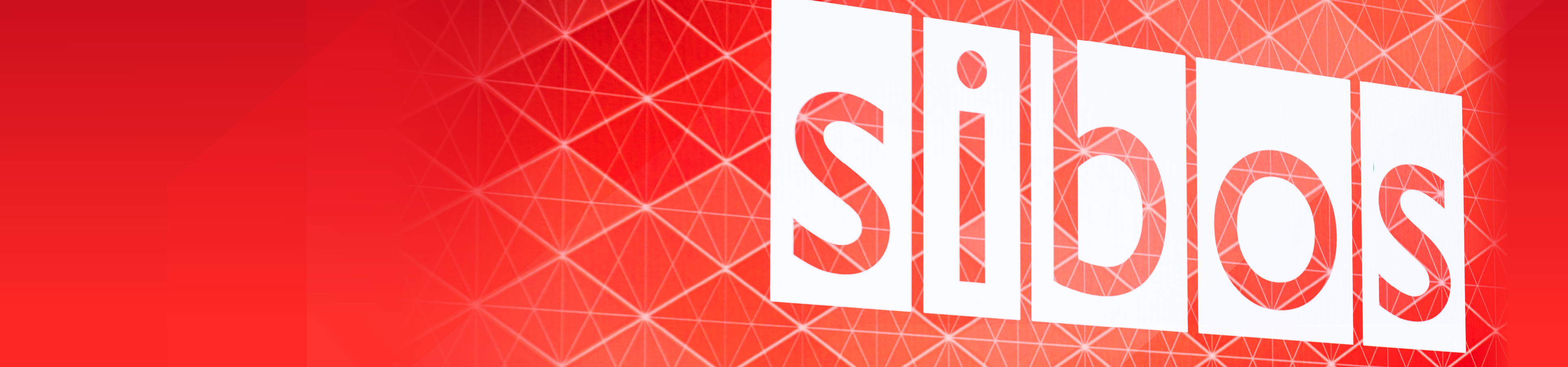 DB-Guide-to-Sibos-2021_Image_1920x450.jpg